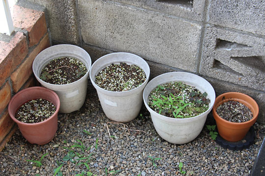 f:id:takahikonojima:20170625091733j:plain