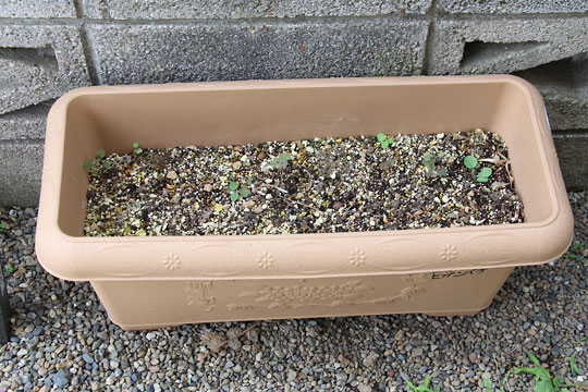 f:id:takahikonojima:20170625091741j:plain