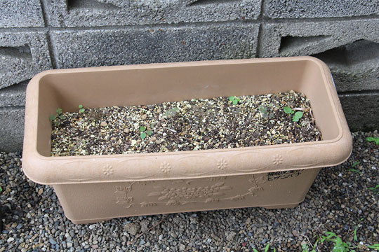 f:id:takahikonojima:20170625091753j:plain