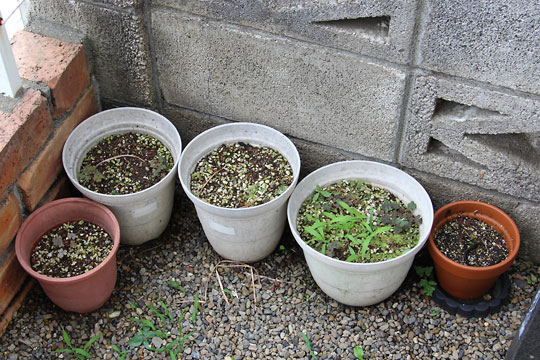 f:id:takahikonojima:20170625091805j:plain