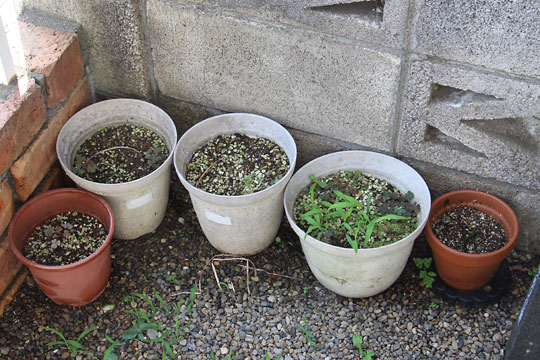 f:id:takahikonojima:20170625091819j:plain