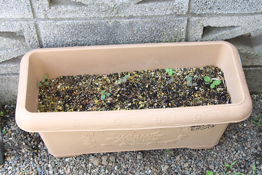 f:id:takahikonojima:20170625091825j:plain