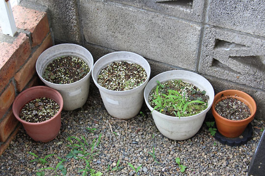 f:id:takahikonojima:20170625091836j:plain