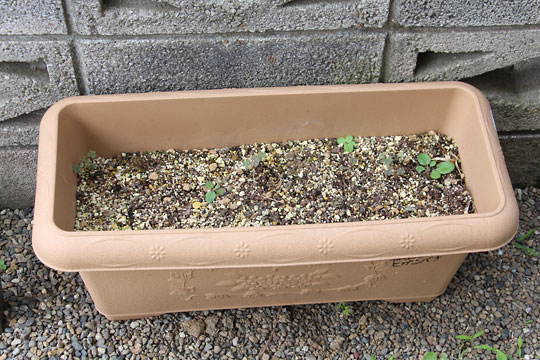 f:id:takahikonojima:20170625091842j:plain