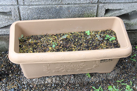 f:id:takahikonojima:20170702180608j:plain