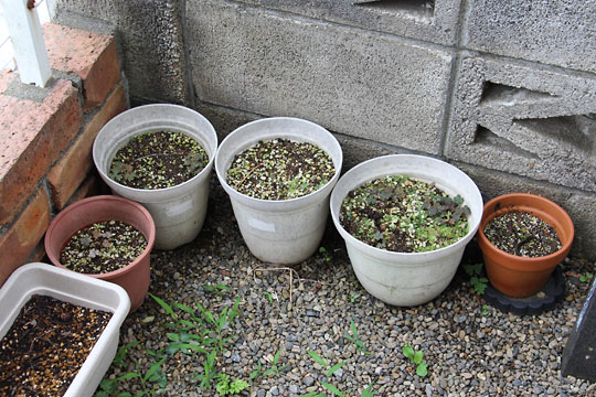 f:id:takahikonojima:20170702180623j:plain