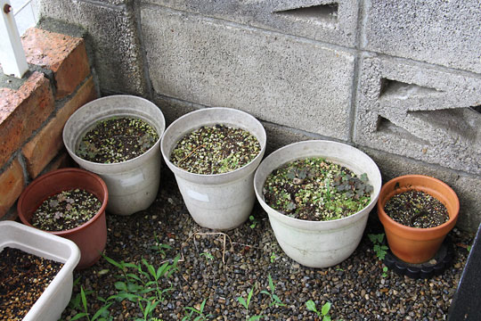 f:id:takahikonojima:20170702180651j:plain