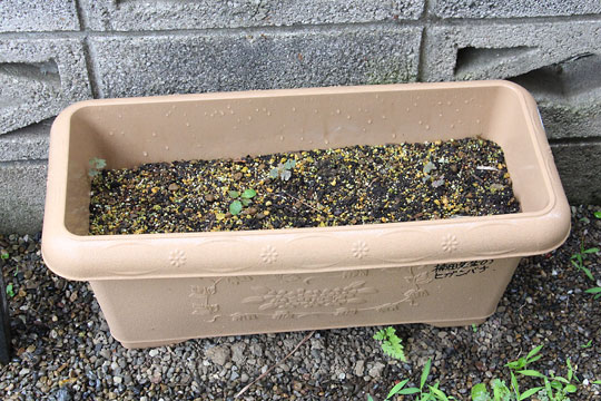 f:id:takahikonojima:20170702180730j:plain