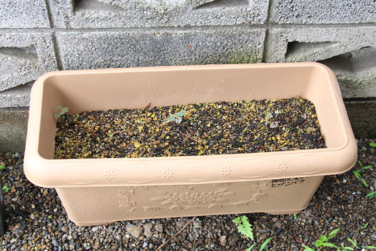 f:id:takahikonojima:20170702180746j:plain