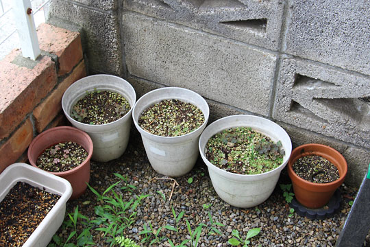 f:id:takahikonojima:20170708155439j:plain