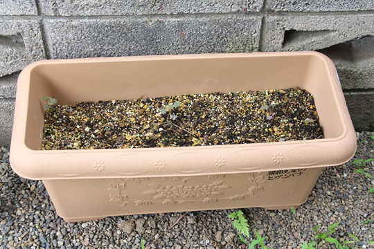 f:id:takahikonojima:20170708155500j:plain