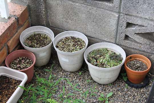 f:id:takahikonojima:20170708155508j:plain