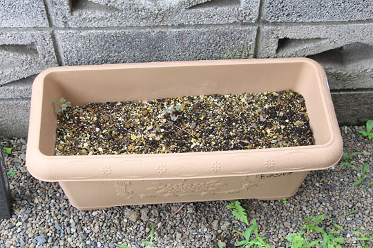 f:id:takahikonojima:20170708155513j:plain