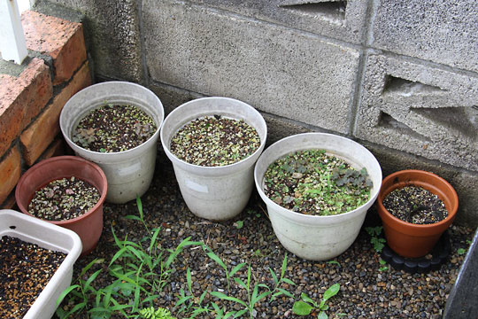 f:id:takahikonojima:20170708155519j:plain