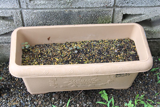 f:id:takahikonojima:20170708155525j:plain