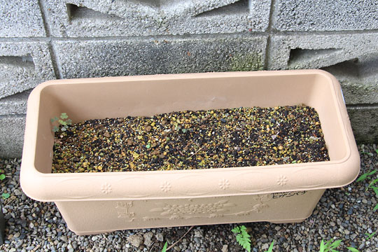 f:id:takahikonojima:20170708155543j:plain