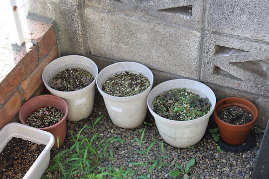 f:id:takahikonojima:20170708155550j:plain