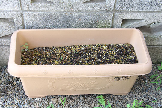 f:id:takahikonojima:20170708155556j:plain