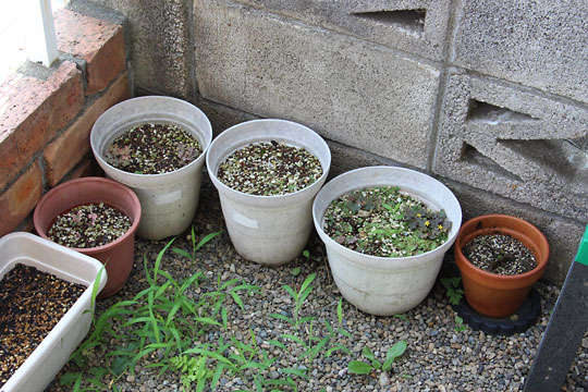 f:id:takahikonojima:20170708155603j:plain