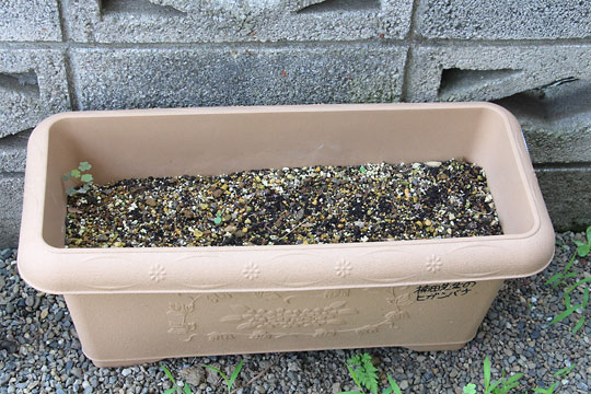 f:id:takahikonojima:20170708155609j:plain