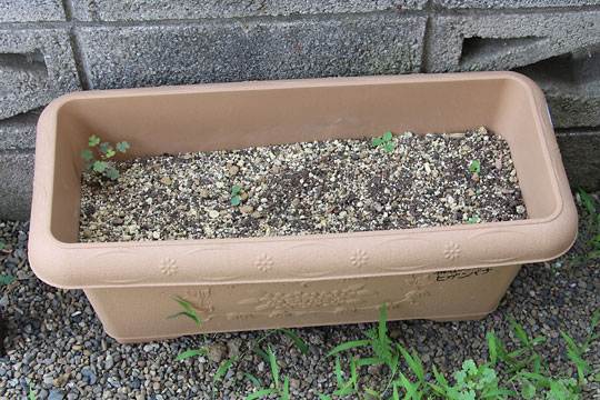 f:id:takahikonojima:20170722191527j:plain