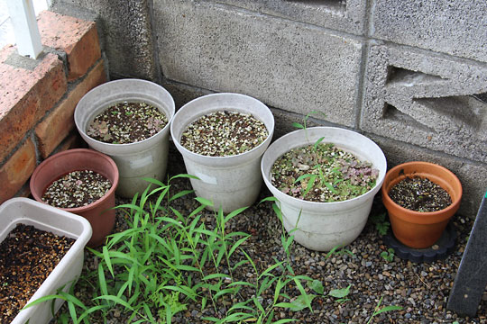 f:id:takahikonojima:20170722191534j:plain