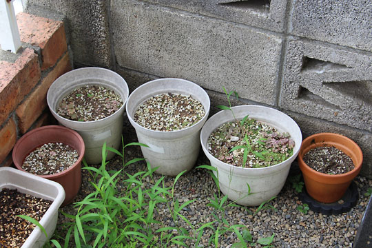 f:id:takahikonojima:20170722191548j:plain