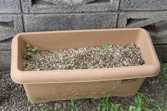 f:id:takahikonojima:20170722191555j:plain