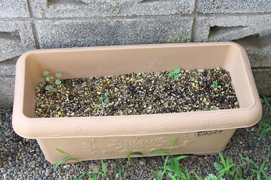 f:id:takahikonojima:20170722191618j:plain