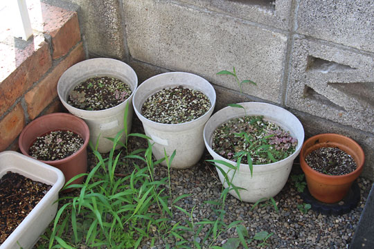 f:id:takahikonojima:20170722191624j:plain