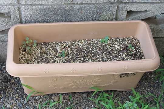 f:id:takahikonojima:20170722191630j:plain