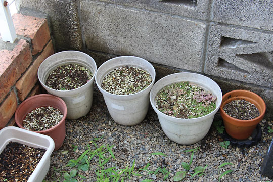 f:id:takahikonojima:20170722191636j:plain