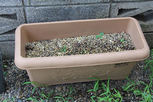 f:id:takahikonojima:20170722191642j:plain