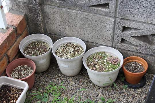 f:id:takahikonojima:20170729144729j:plain