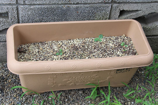 f:id:takahikonojima:20170729144740j:plain