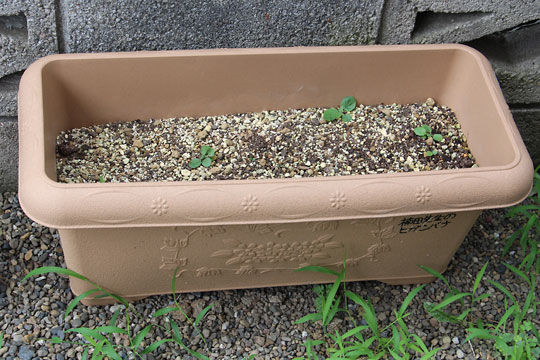 f:id:takahikonojima:20170729144804j:plain