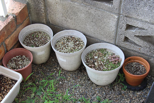 f:id:takahikonojima:20170729144810j:plain