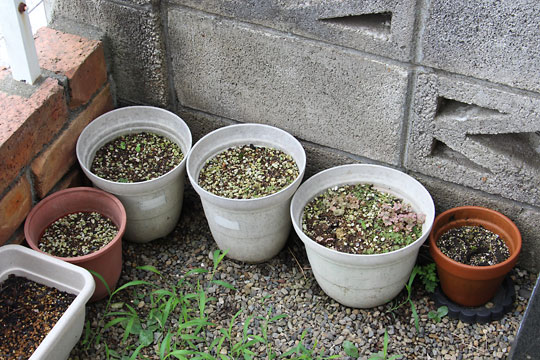 f:id:takahikonojima:20170729144838j:plain