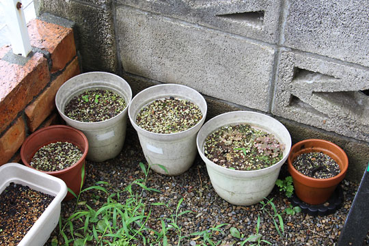 f:id:takahikonojima:20170805153128j:plain