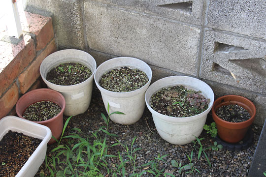 f:id:takahikonojima:20170805153233j:plain