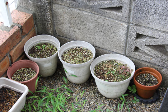 f:id:takahikonojima:20170805153249j:plain