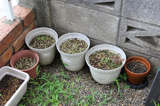 f:id:takahikonojima:20170805153308j:plain