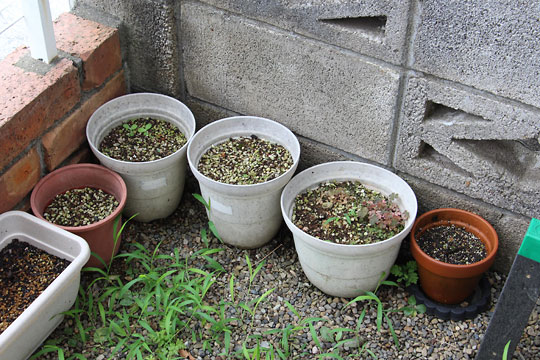 f:id:takahikonojima:20170805153324j:plain