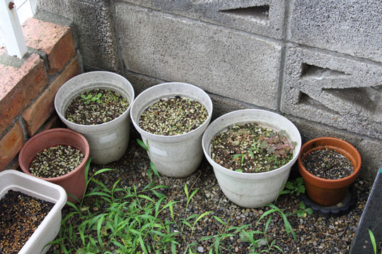 f:id:takahikonojima:20170805153343j:plain