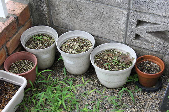 f:id:takahikonojima:20170805153357j:plain