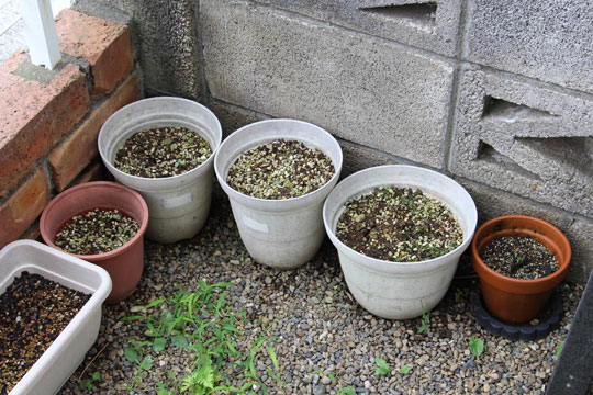 f:id:takahikonojima:20170826182850j:plain