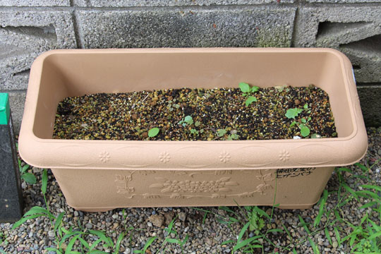 f:id:takahikonojima:20170826182900j:plain