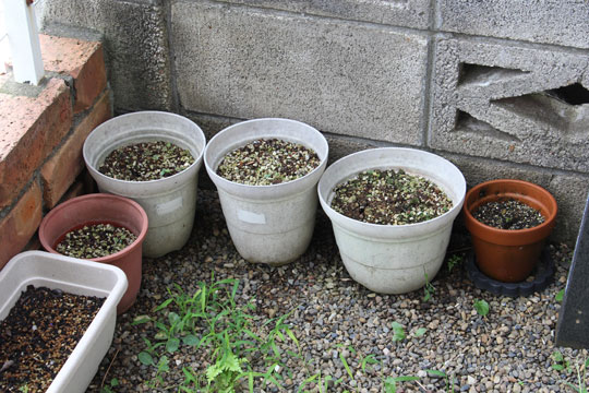 f:id:takahikonojima:20170826182917j:plain