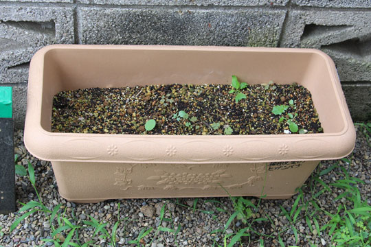 f:id:takahikonojima:20170826182931j:plain