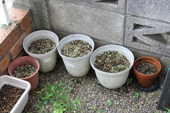 f:id:takahikonojima:20170826182945j:plain